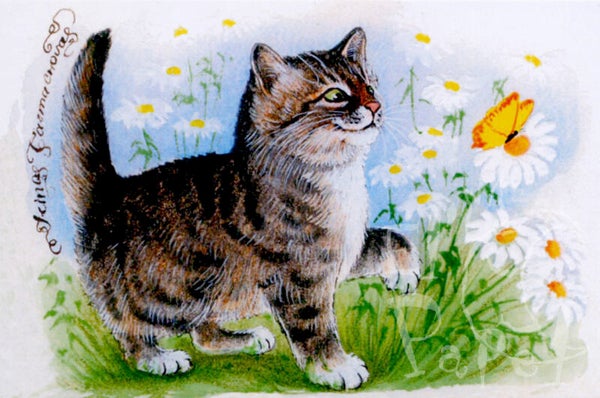 OP!! Ansichtkaart 'Dag vlindertje!'