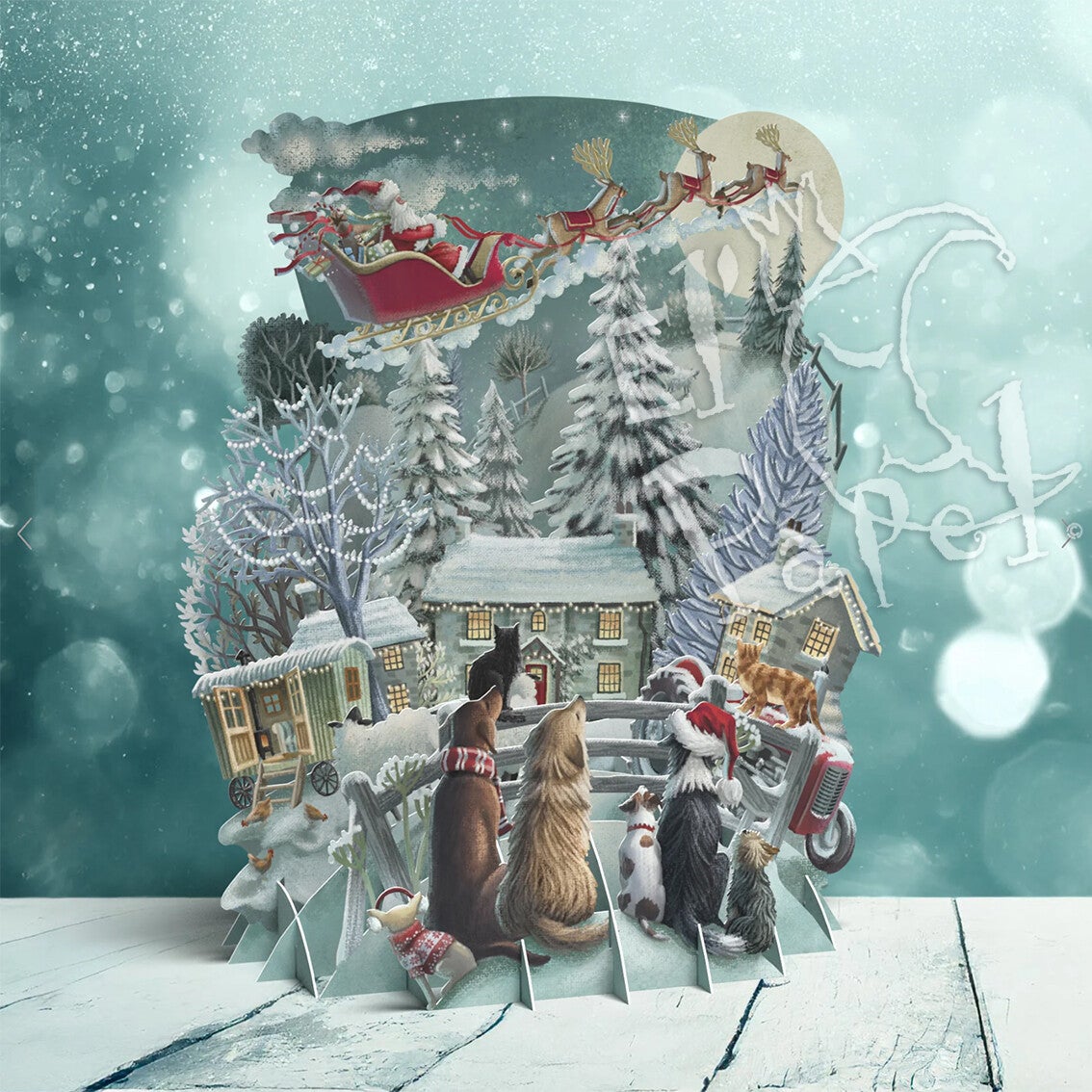 Me & McQ - 3D Kerstkaart 'Het is de Kerstman!'