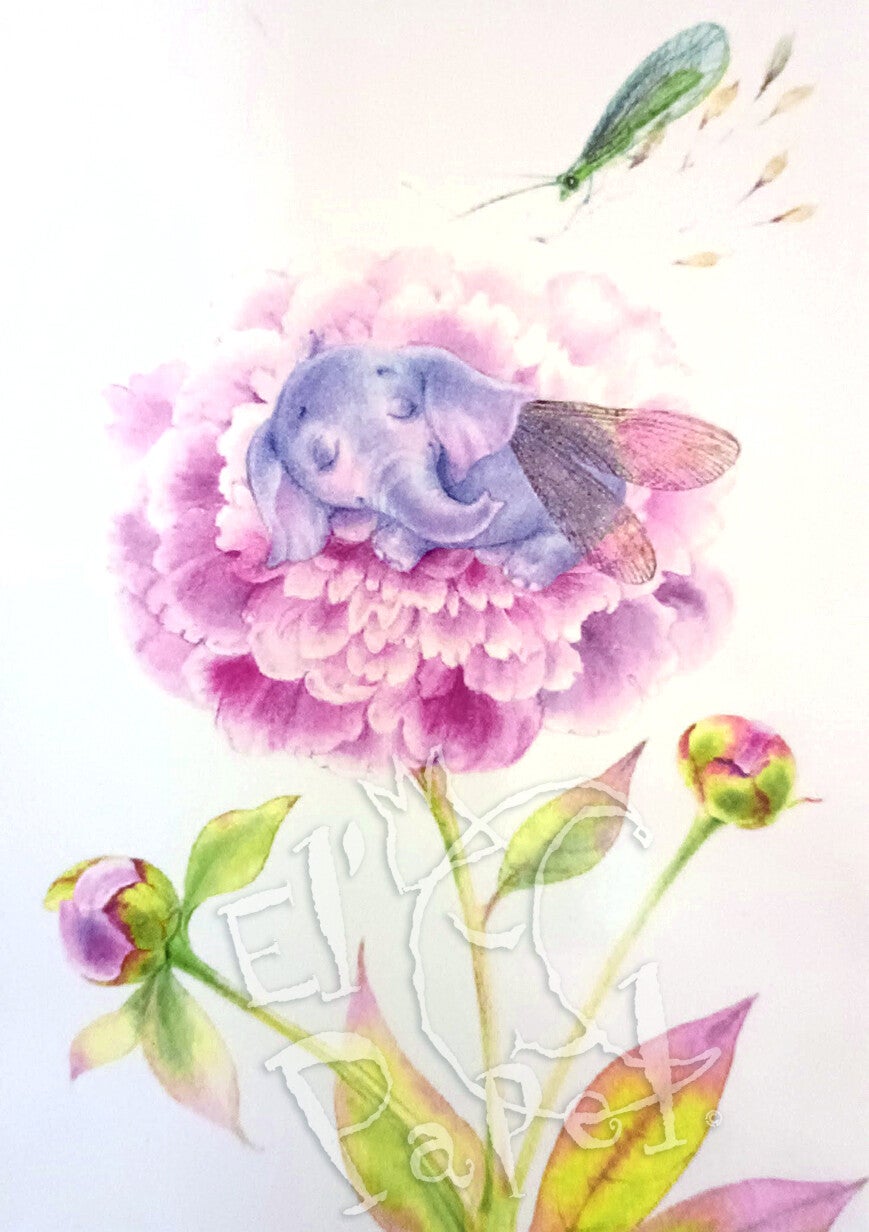 Ansichtkaart 'Pioenroos slaapje'