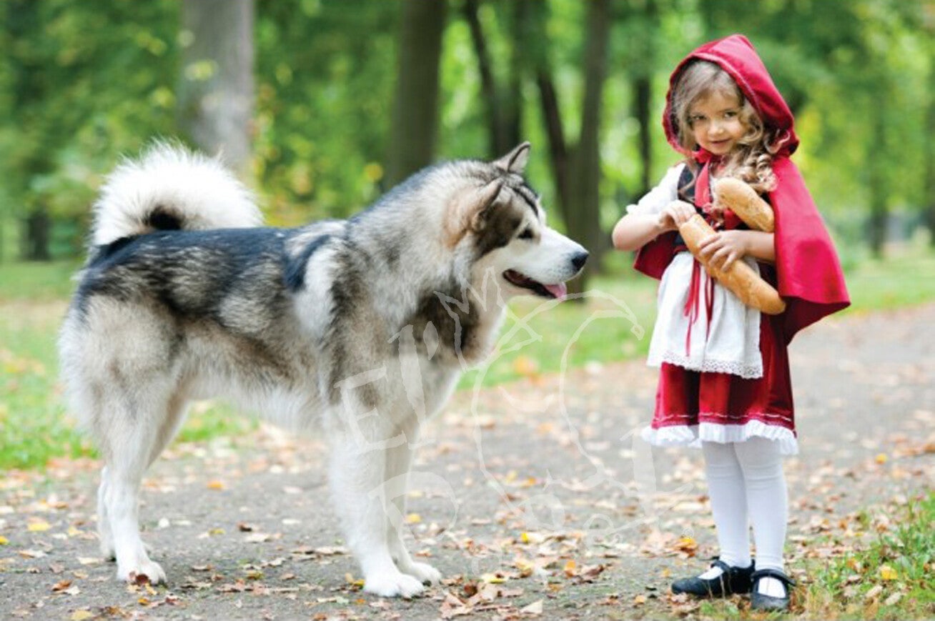 Roodkapje - er was eens