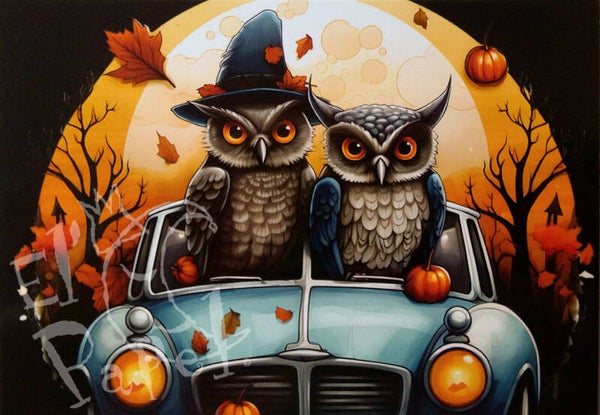 Ansichtkaart 'Uilen couple in oldtimer' (3)