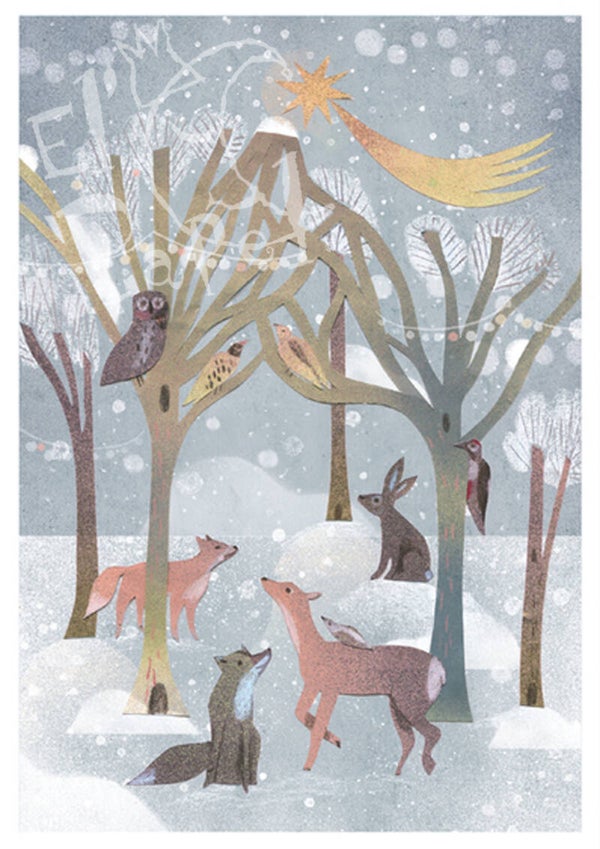 Winterbos -  Marianna Sztyma