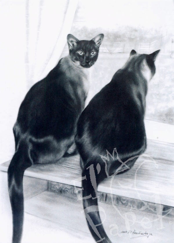 Ansichtkaart 'Samen in de vensterbank'