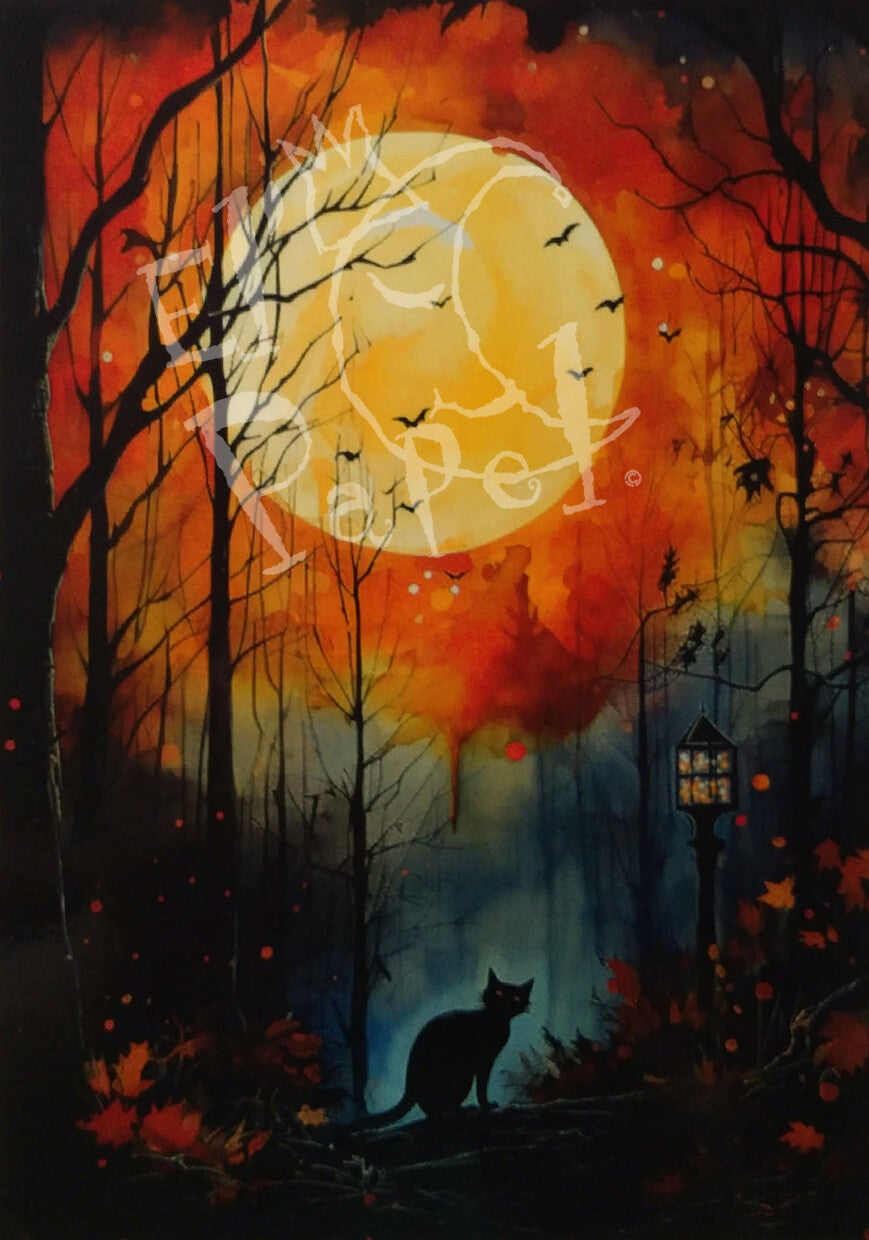 OP!! Ansichtkaart 'Zwarte kat bij volle maan'