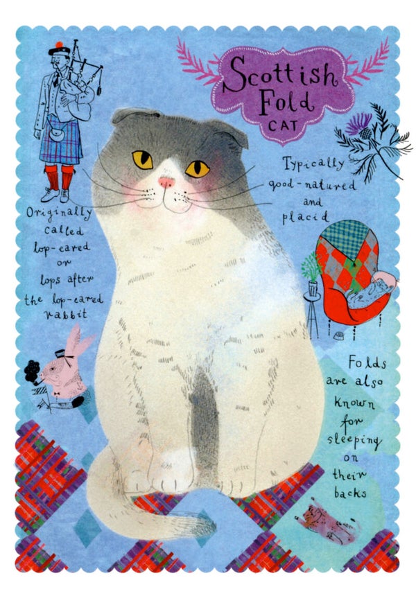 'Schotse vouwoorkat' grote ansichtkaart Marianna Styma