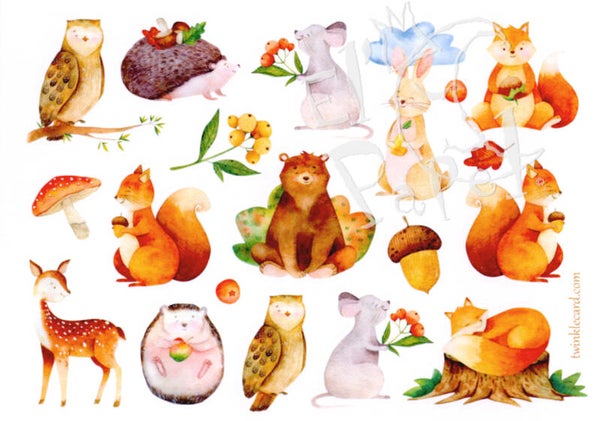 Stickervel herfst - bosdiertjes (12 st.)