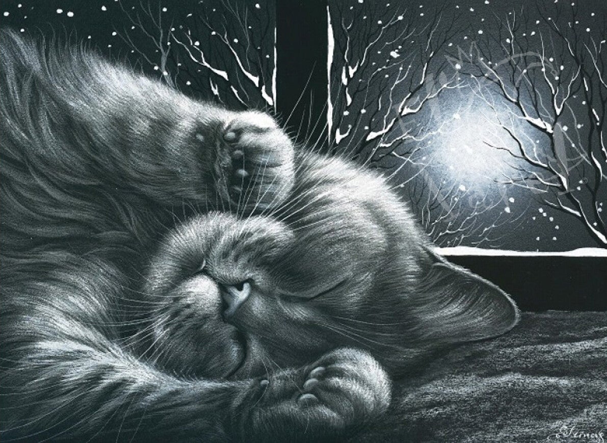 Ansichtkaart 'Gezellig!'