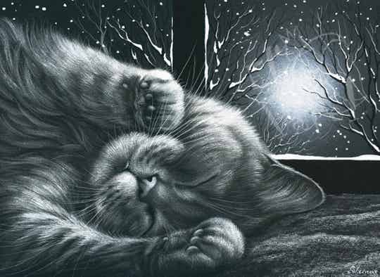 Ansichtkaart 'Gezellig!'