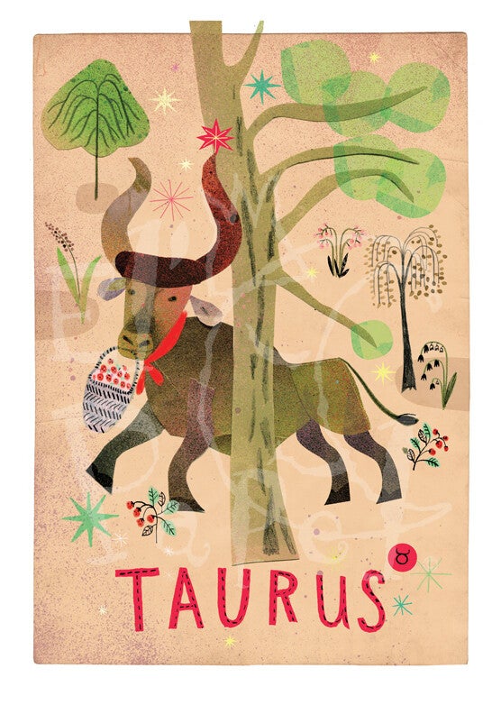 Stier - Taurus - grote ansichtkaart