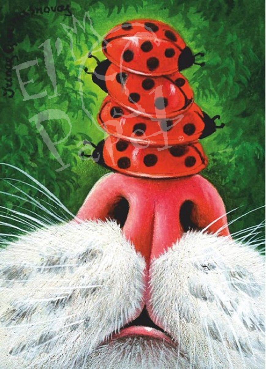 Ansichtkaart 'Lieveheersbeestjes kermis act'