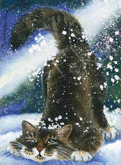 Ansichtkaart 'Noodlanding'