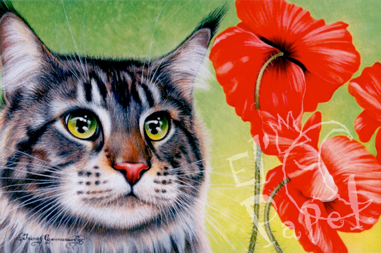 Ansichtkaart 'Rode papaver'