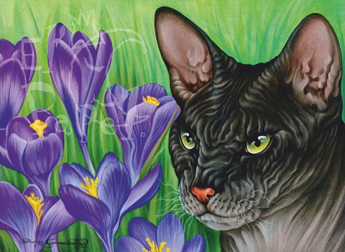 Ansichtkaart 'Krokussen'