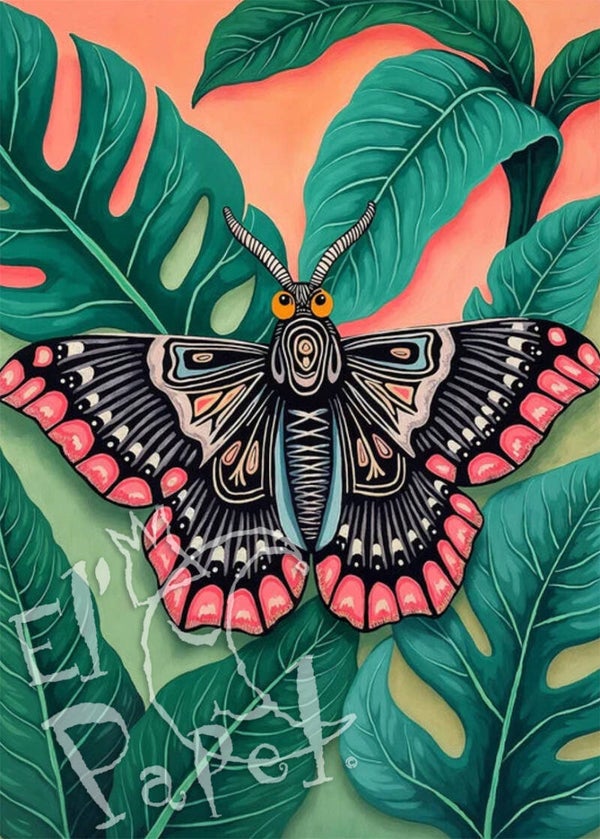 Ansichtkaart 'Mooie dieren - Vlinder'