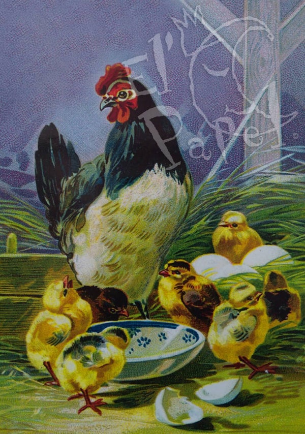 Nostalgische ansichtkaart 'Kip met kuikens'
