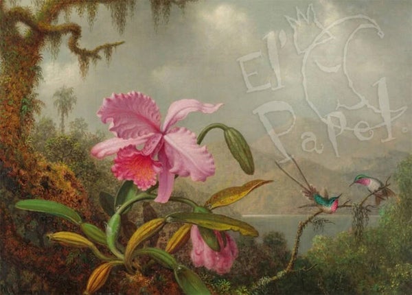 Kunst ansichtkaart 'Orchidee en kolibries bij een bergmeer'