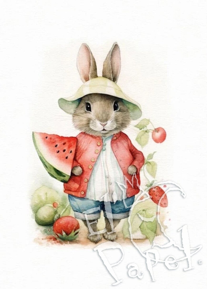 Ansichtkaart 'Konijntje met rood zomerfruit'