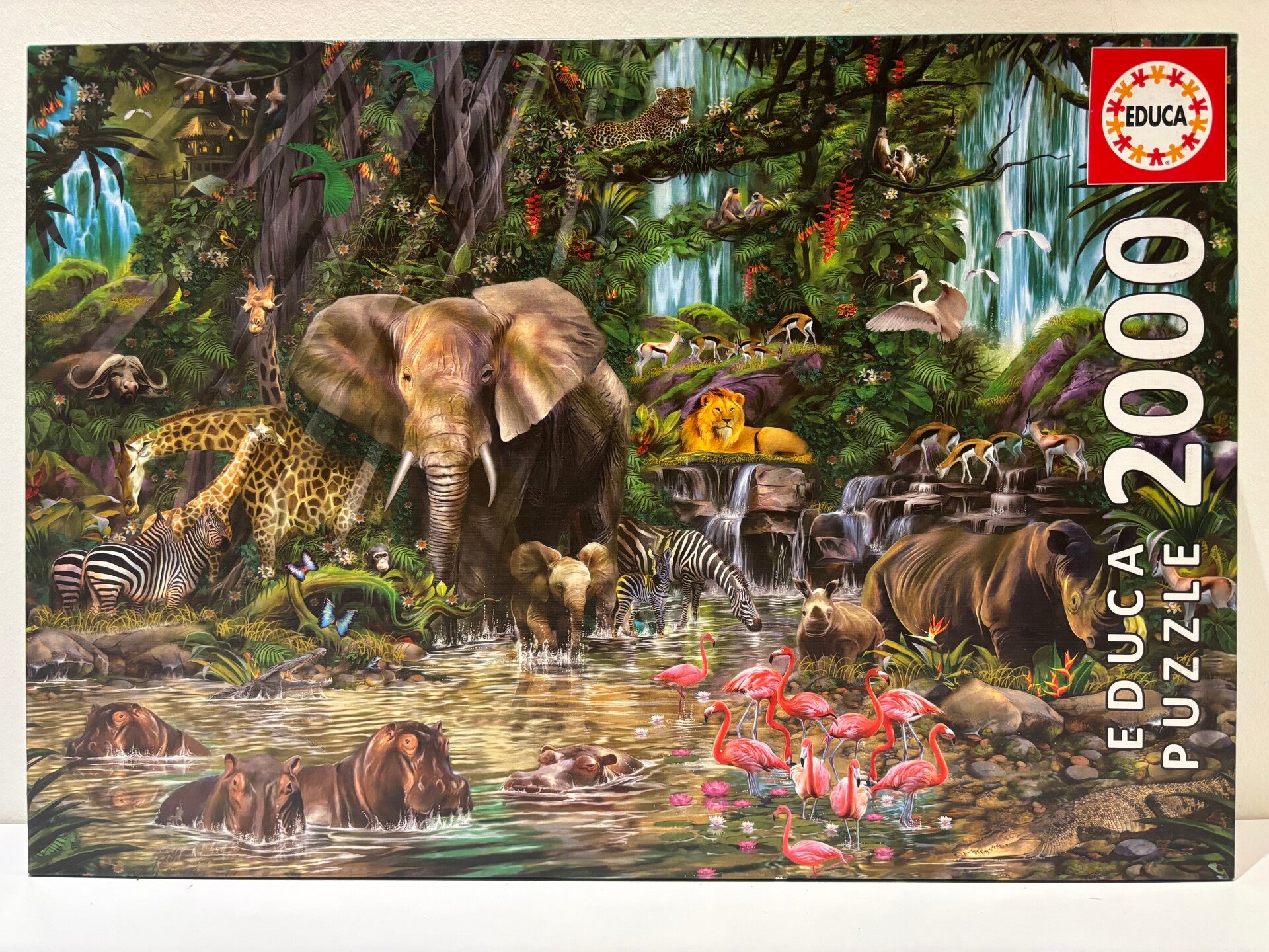 Educa - African Jungle