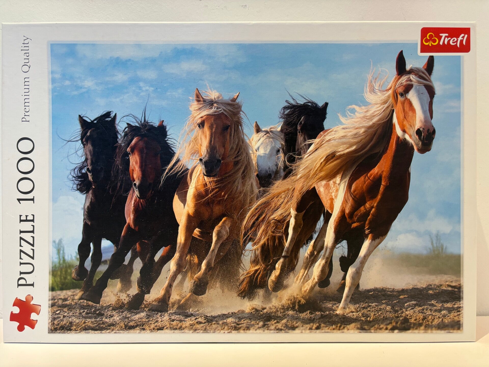 Trefl - Galloping Horses