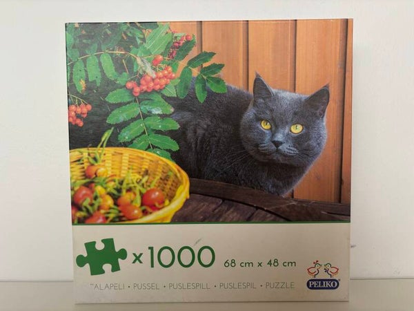 Peliko - Cat