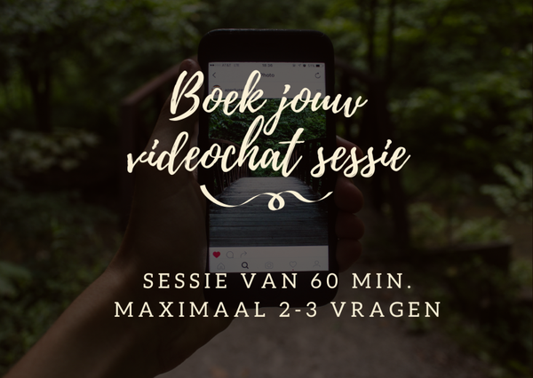 Sessie van 60 min. via videochat