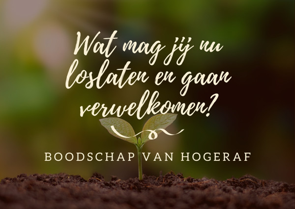 Wat mag jij nu loslaten en gaan verwelkomen in je leven?