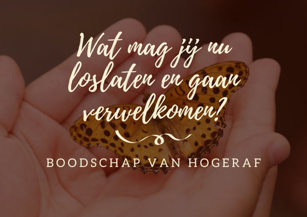 Wat mag jij nu loslaten en gaan verwelkomen in je leven?