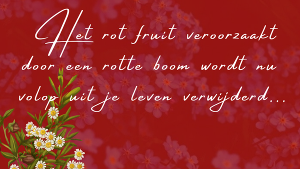 Extra video's :: Word week na week begeleid door de bron