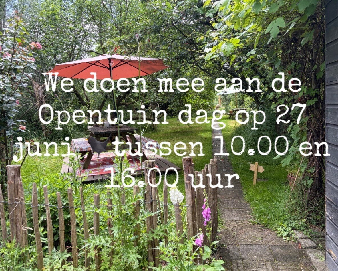 Atelier in de Krimpenerwaard