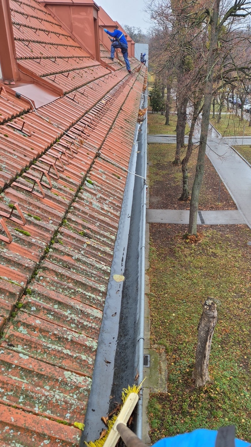 Dachrinnenreinigung an einem Ziegeldach