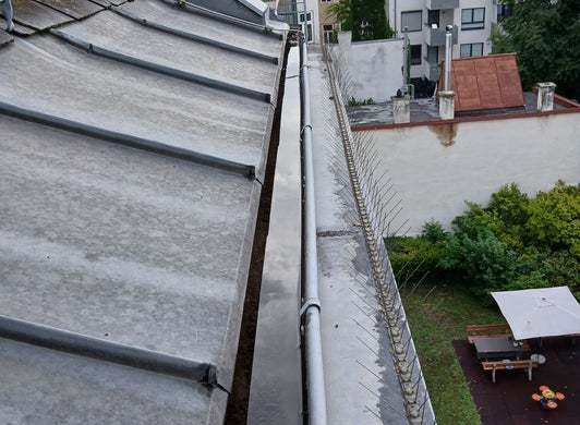 Freier Verlauf einer Dachrinne an einem Blechdach