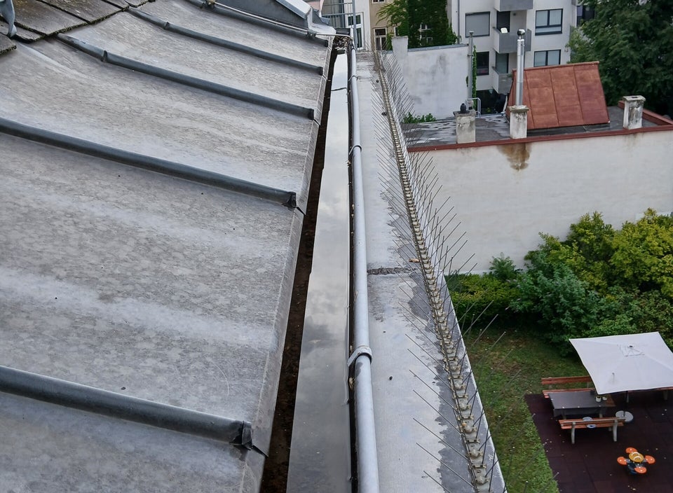 Freier Verlauf einer Dachrinne an einem Blechdach