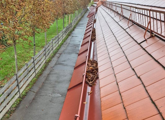 Herbstlaub sammelt sich in einer Dachrinne neben einer Baumreihe