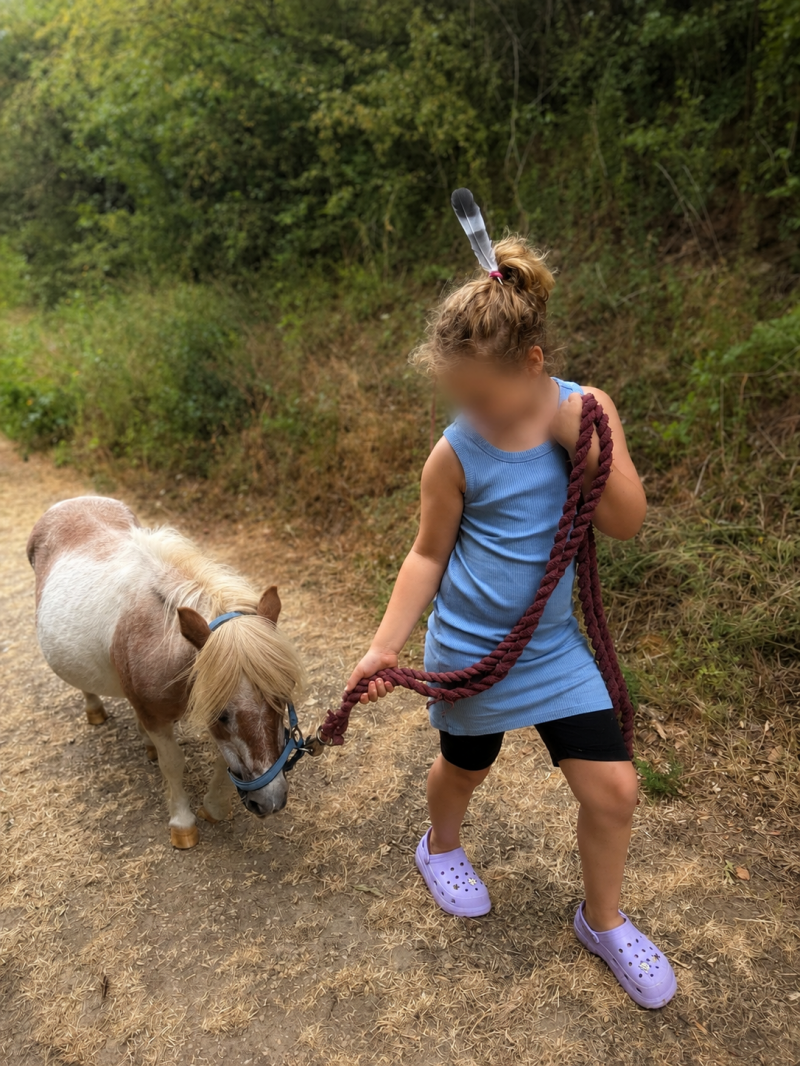 Kind führt ein Pony beim Ferienprogramm auf dem Philippshof in Mechernich-Floisdorf
