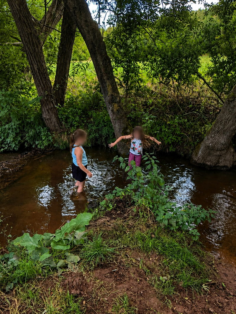 Kinder entdecken die Natur am Bach beim Tierischen Indianercamp in Mechernich-Floisdorf