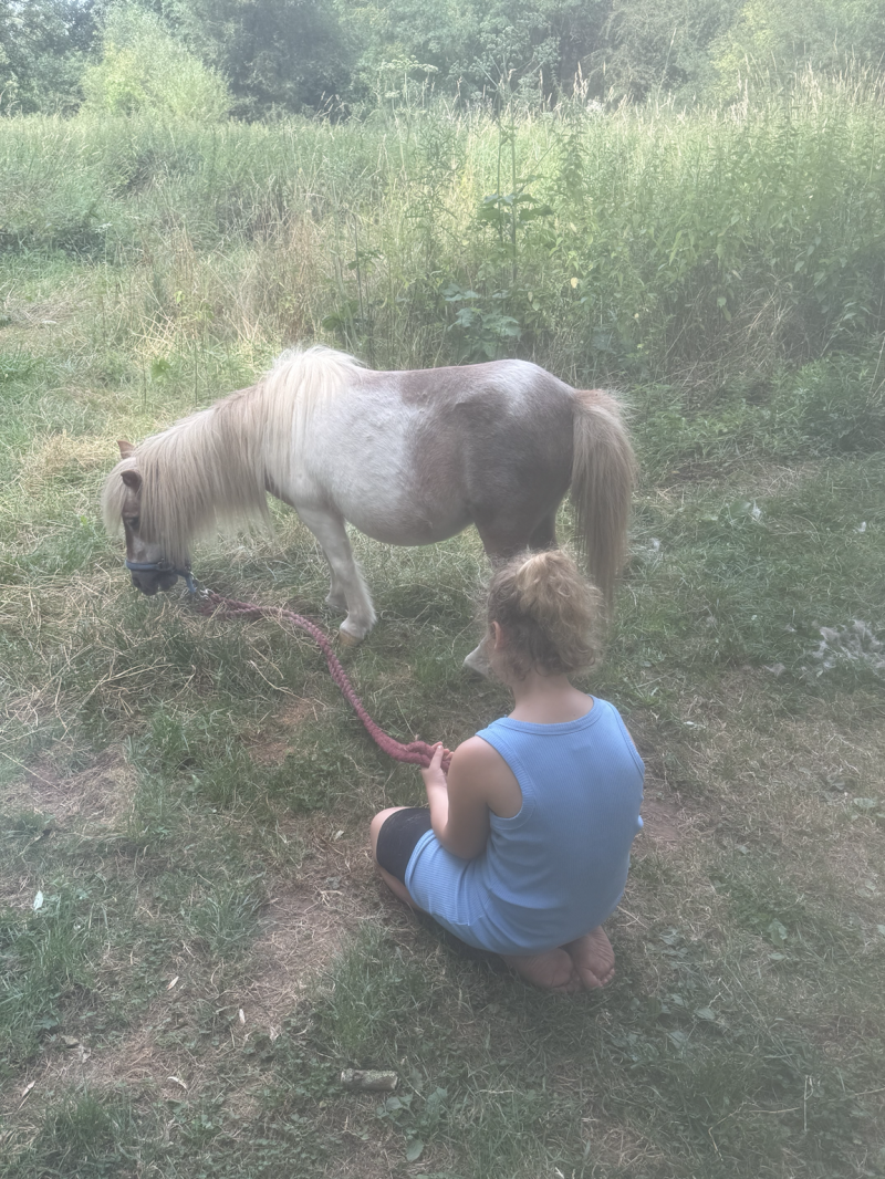 Kind verbringt Zeit mit einem Pony beim Ferienprogramm auf dem Philippshof in Mechernich-Floisdorf