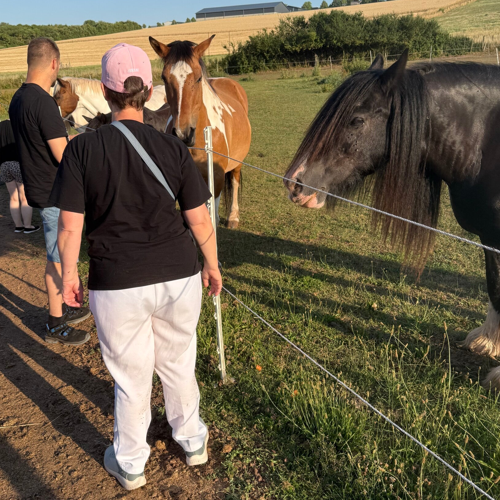 Ponys streicheln und füttern