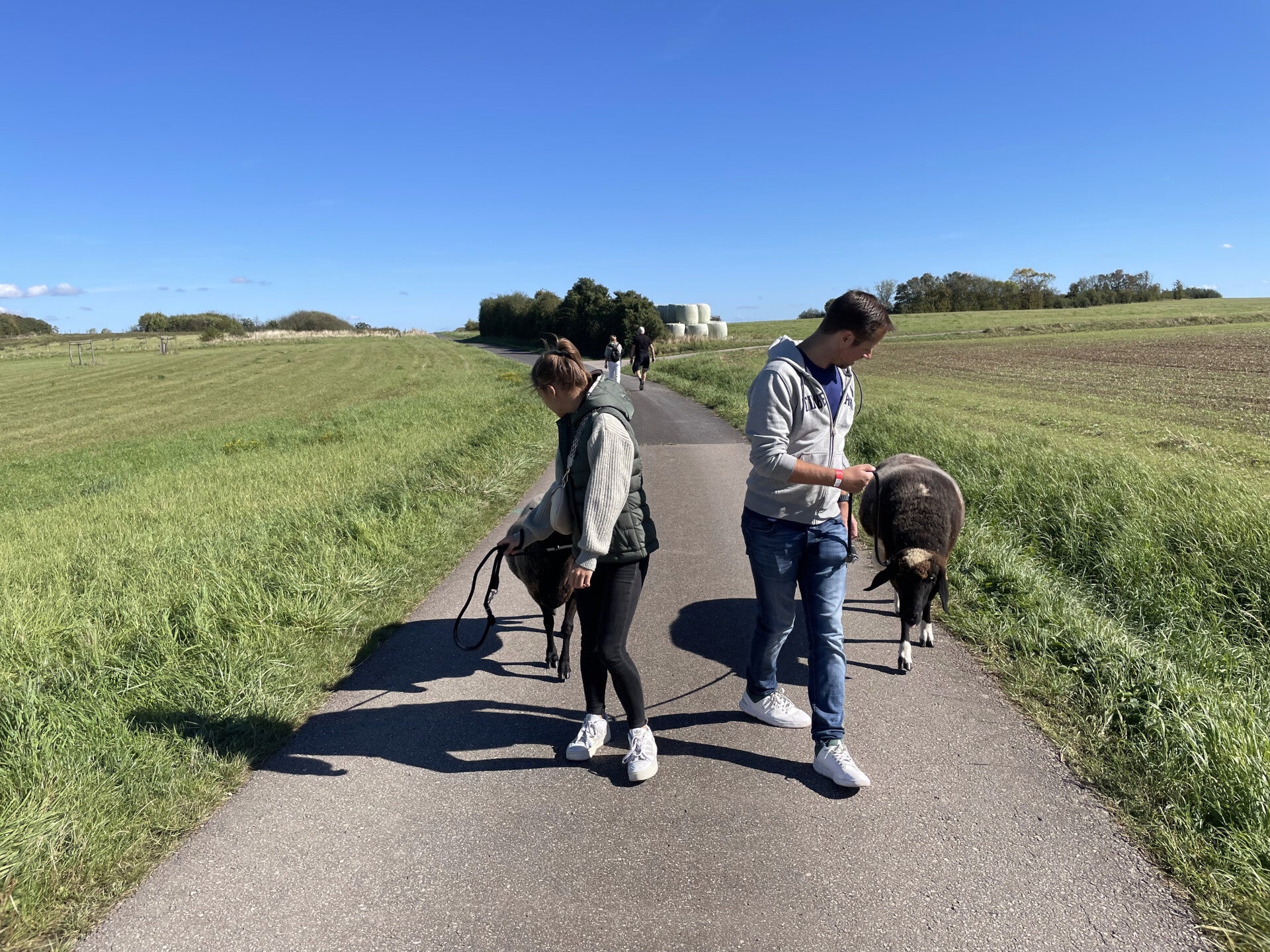 Wanderung mit Picknick