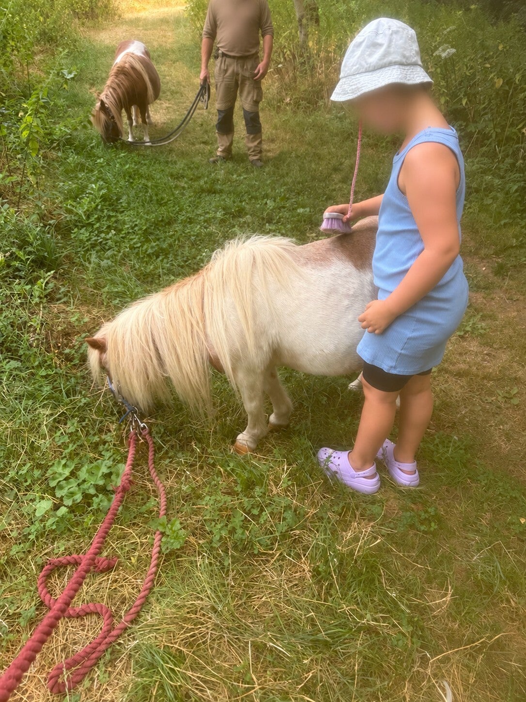 Mädchen putzt liebevoll ein Minishetty während eines Ponyerlebnisses auf dem Philippshof.