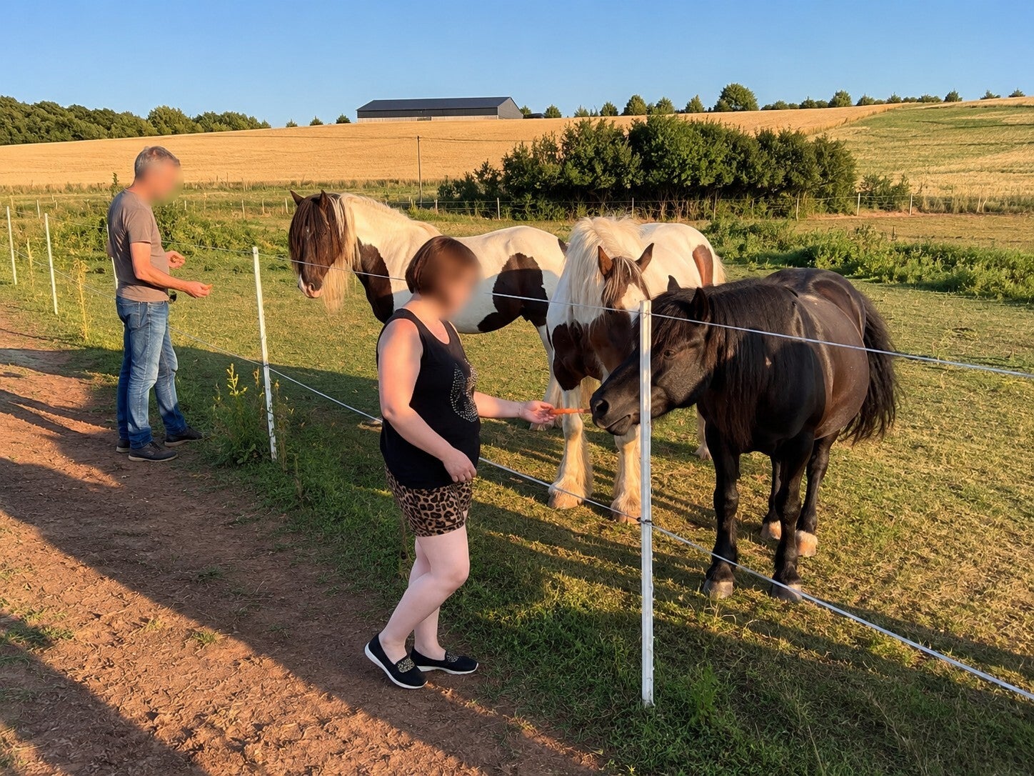 Erwachsene begegnen Ponys bei einer Weihnachtsfeier auf dem Philippshof