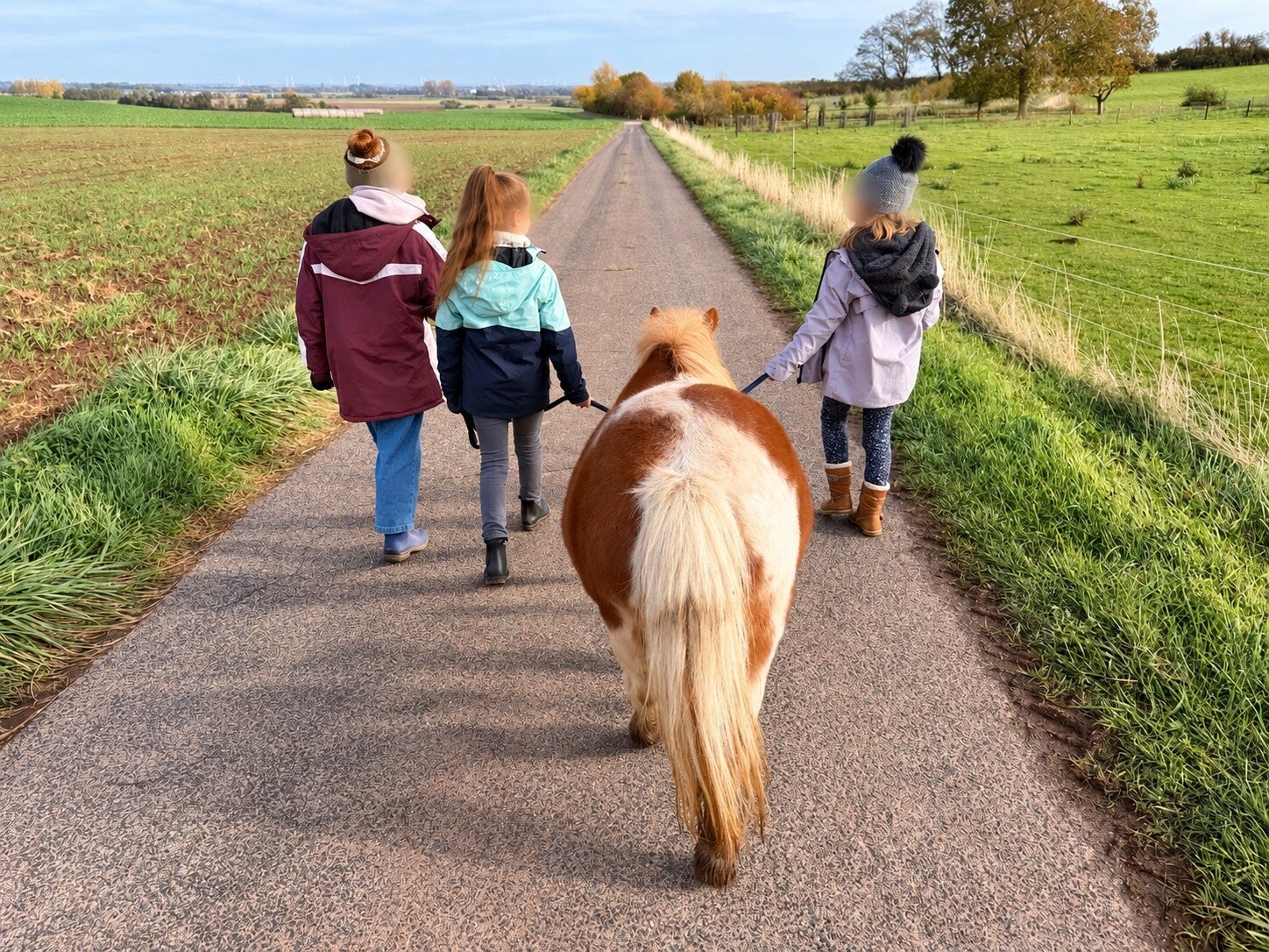 Kinder führen ein Minishetty bei einer geführten Ponywanderung durch die Eifeler Natur.