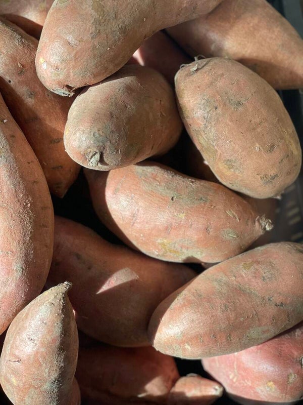 Zoete aardappels 1 KG