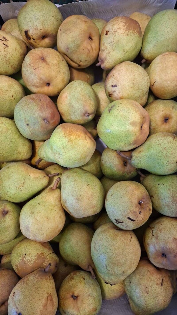 Doyenne du comice 1KG