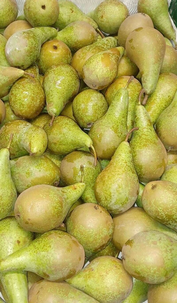 Conference (nieuwe oogst) 1 KG