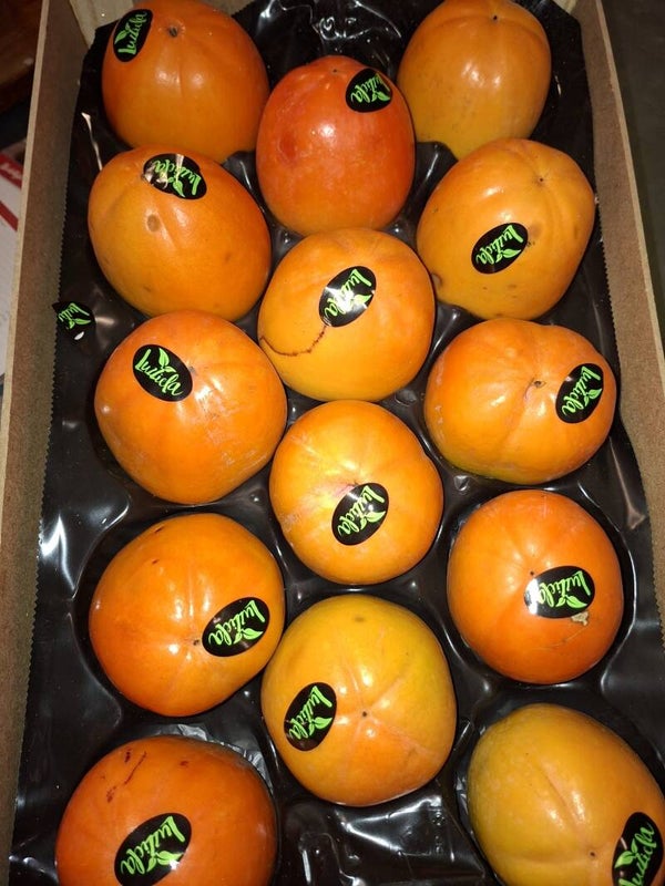 Kaki