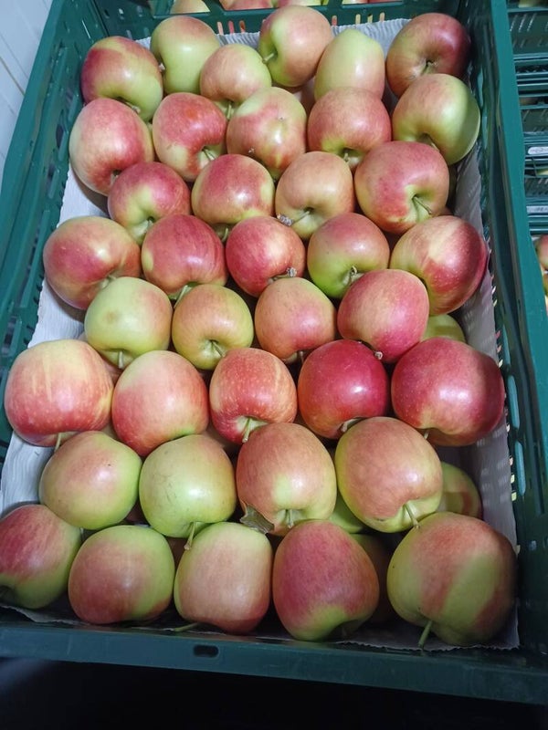 Delcorf (nieuwe oogst) 1KG