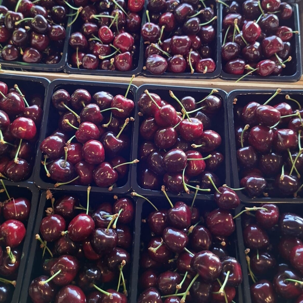 Kersen (500 gr)