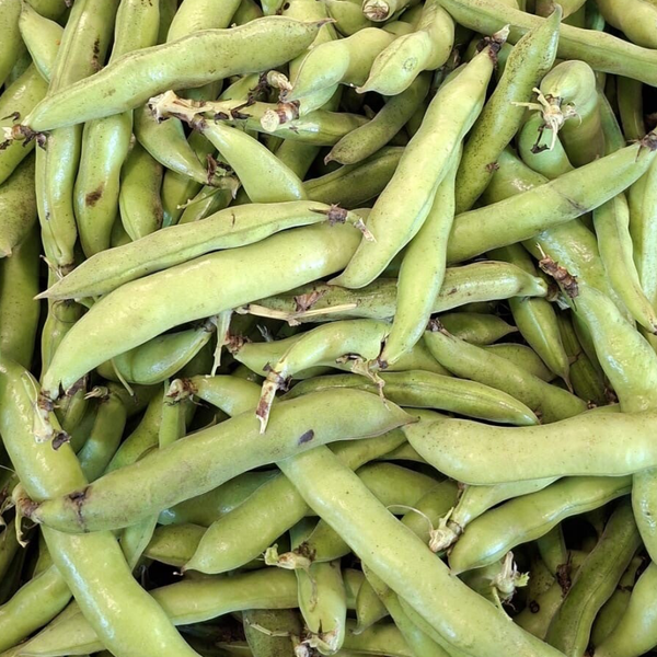 Tuinbonen (500 gr)