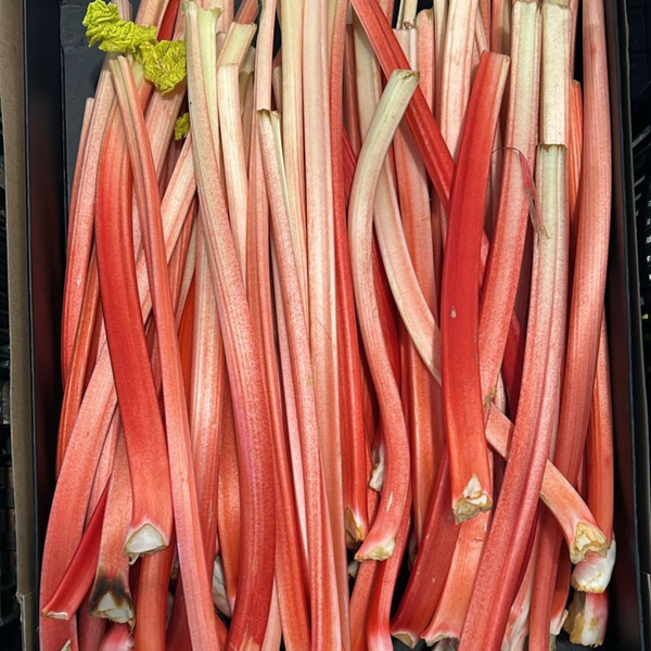 Rabarber (500gr)