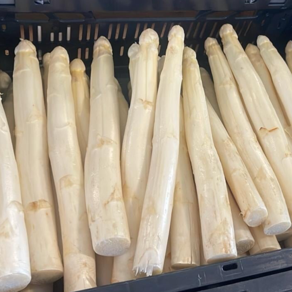 Asperges (100 gr)